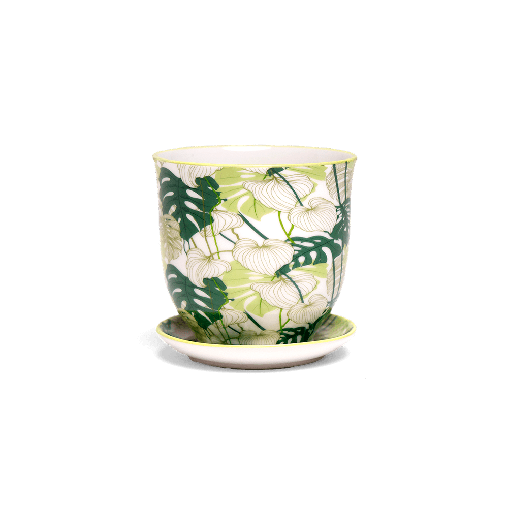 Liberte Porcelain Pot And Saucer 3.25" - Chive Ceramics Studio - Pots - Chive Ceramics Studio