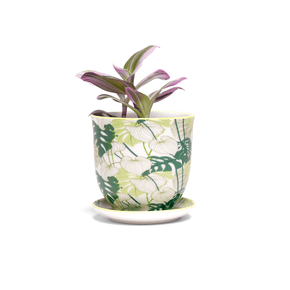 Liberte Porcelain Pot And Saucer 3.25" - Chive Ceramics Studio - Pots - Chive Ceramics Studio