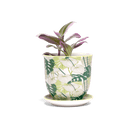 Liberte Porcelain Pot And Saucer 3.25" - Chive Ceramics Studio - Pots - Chive Ceramics Studio