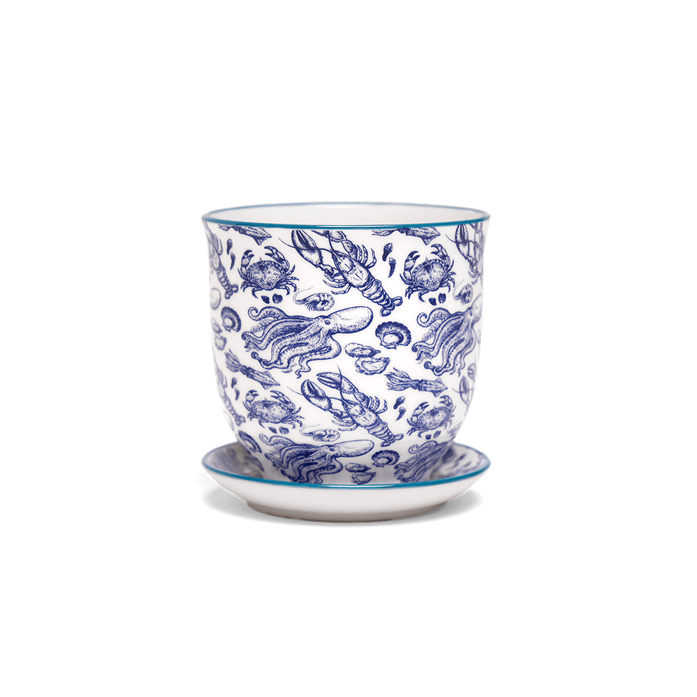 Liberte Porcelain Pot And Saucer Set With Drainage | 3.25 inch - Chive Ceramics Studio - Pots - Chive Ceramics Studio