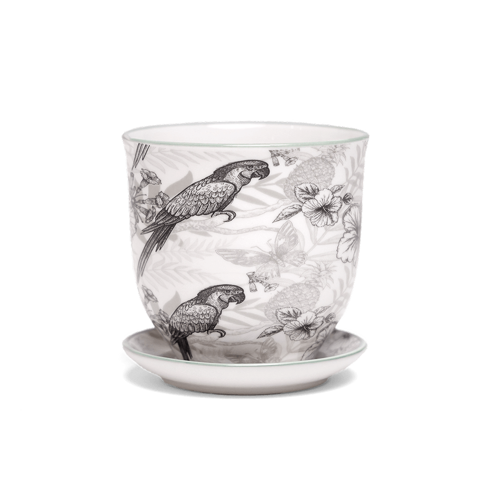 Liberte Porcelain Pot And Saucer Set With Drainage | 3.25 inch - Chive Ceramics Studio - Pots - Chive Ceramics Studio