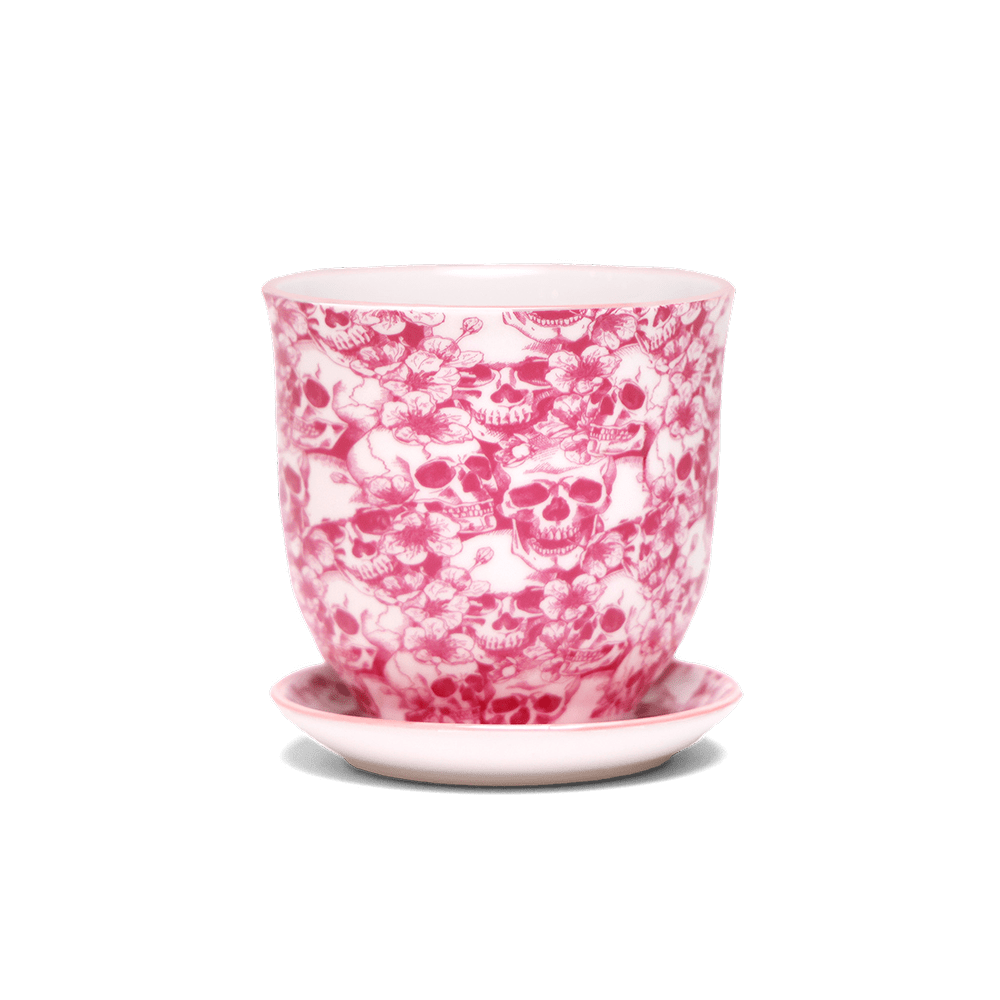 Liberte Porcelain 4.25" Pot And Saucer - Chive Ceramics Studio - Pots - Chive Ceramics Studio