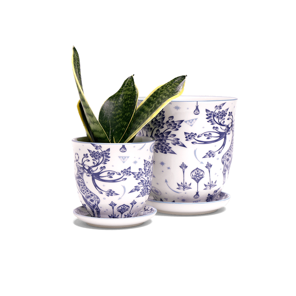 Liberte 5 Porcelain Pot And Saucer With Drainage - Chive Ceramics Studio - Pots - Chive Ceramics Studio