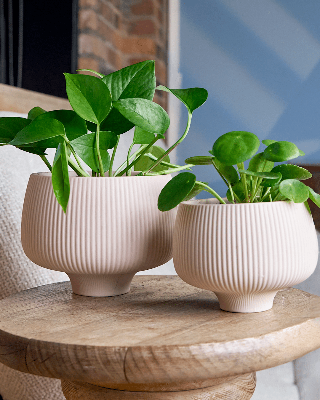 modern indoor pots for plants Lilo Porcelain Modern Indoor Plant Pot