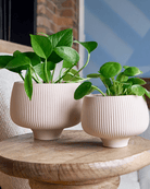 Lilo Porcelain Modern Indoor Plant Pot - Chive Ceramics Studio - Pots - Chive US