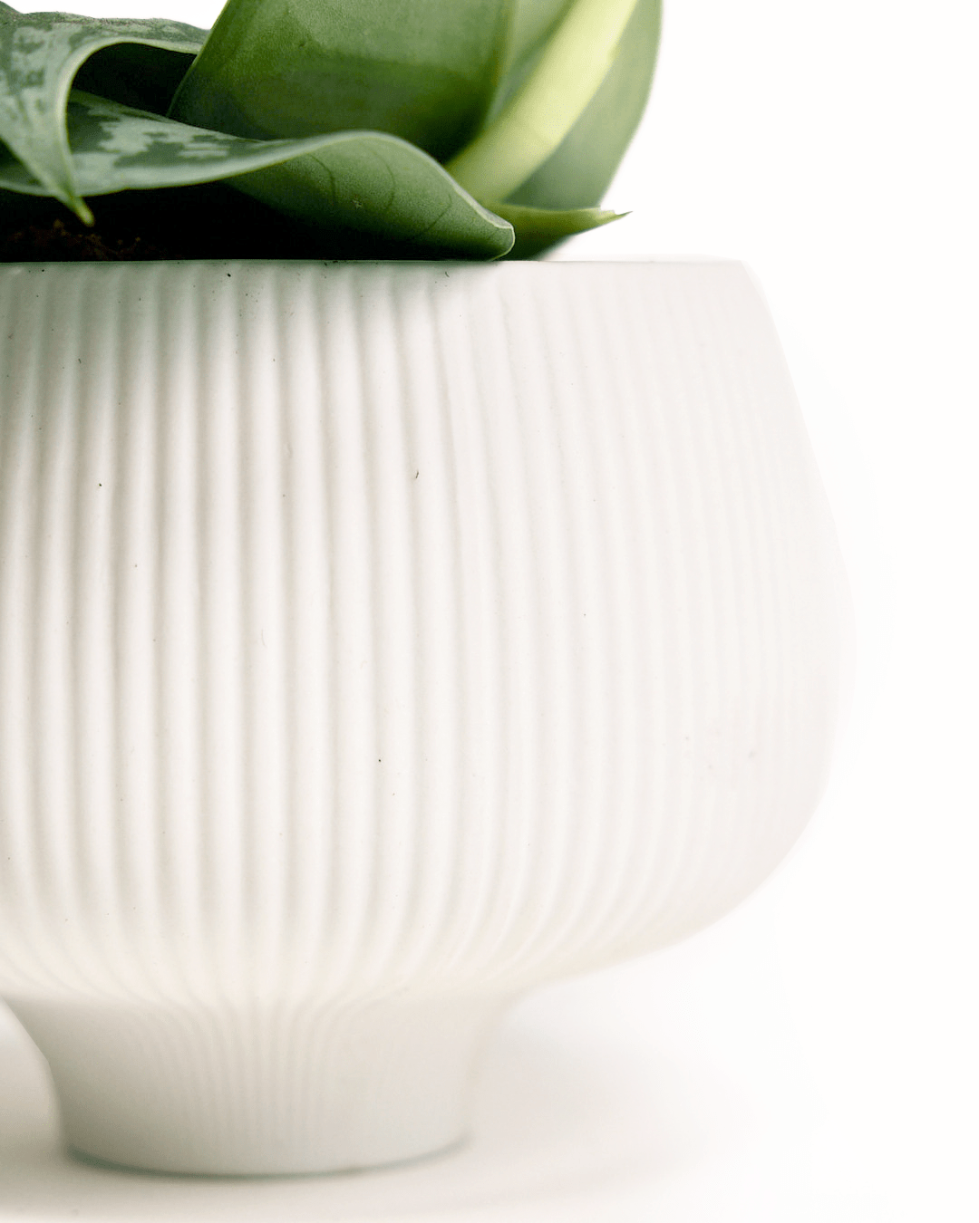 Lilo Porcelain Modern Indoor Plant Pot - Chive Ceramics Studio - Pots - Chive US