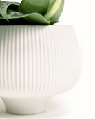 Lilo Porcelain Modern Indoor Plant Pot - Chive Ceramics Studio - Pots - Chive US