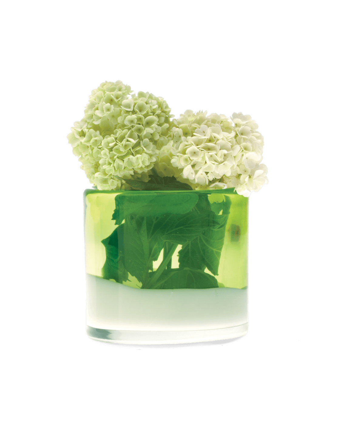 Londonette Glass Flower Vase - Chive Ceramics Studio - Vases - Chive US