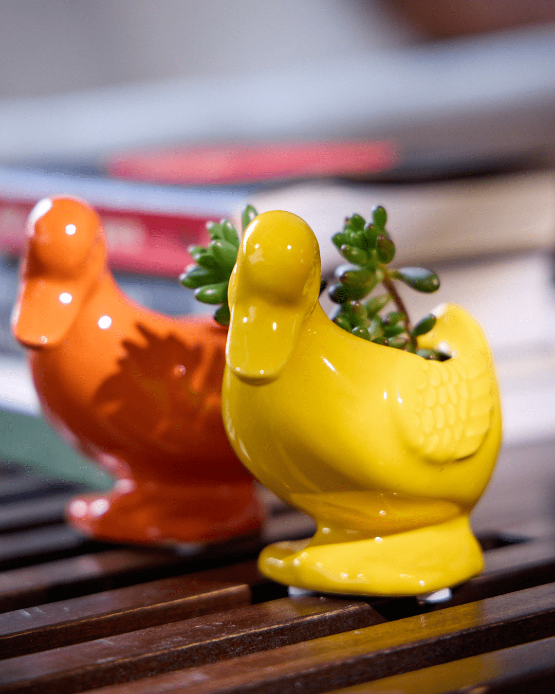 Duck Ceramic Indoor Plant Pot For Succulents - Chive Ceramics Studio - Pots - Chive US