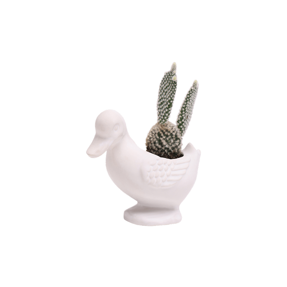 Duck Ceramic Indoor Plant Pot For Succulents - Chive Ceramics Studio - Pots - Chive US