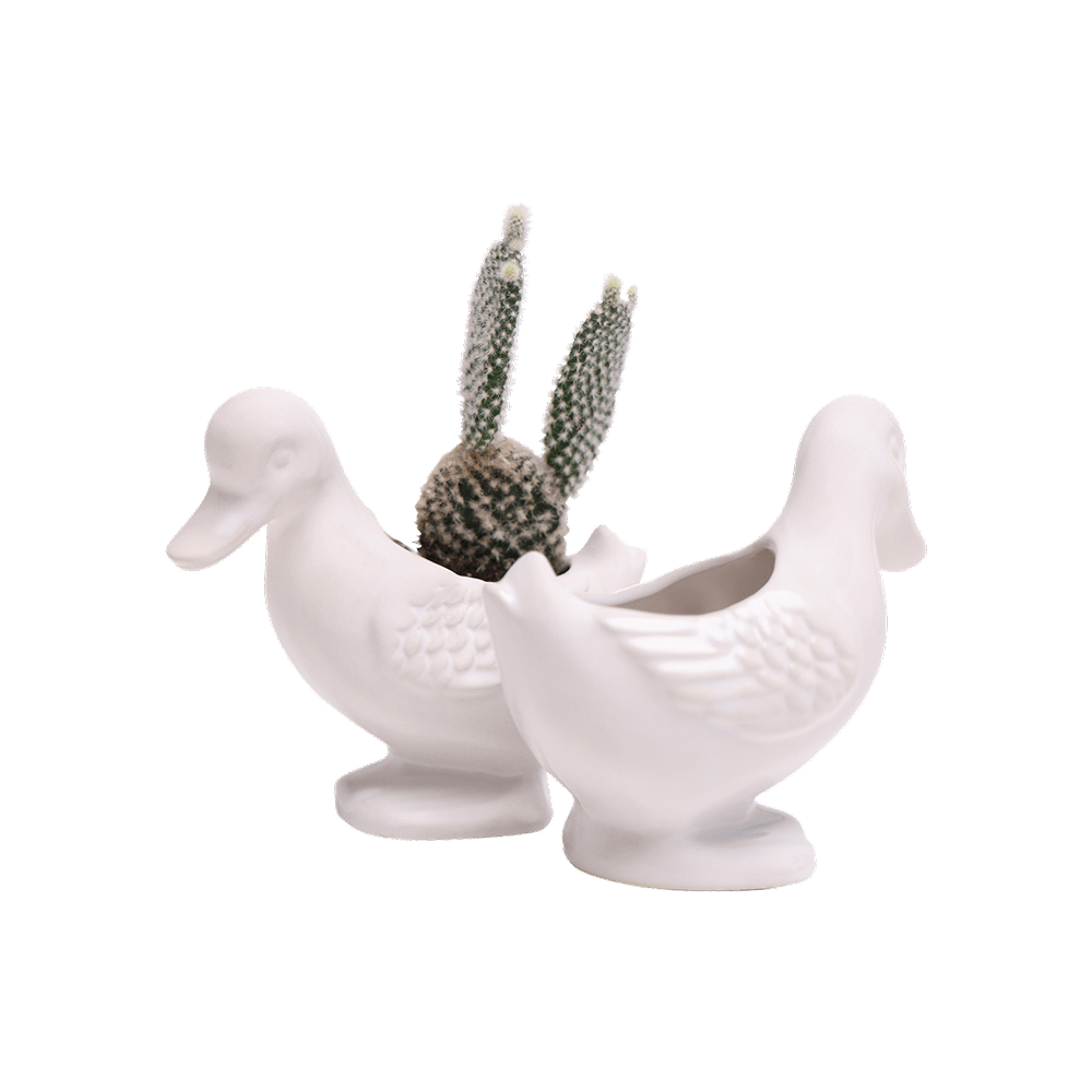 Duck Ceramic Indoor Plant Pot For Succulents - Chive Ceramics Studio - Pots - Chive US