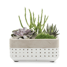 Meraki Cement Planter Pot - Chive Ceramics Studio - Pots - Chive US