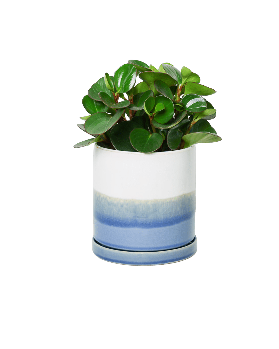 Minute Ceramic Pot And Saucer Set With Drainage | 6, 7, & 8 inch - Chive Ceramics Studio - Pots - Chive Ceramics Studio