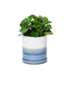 Minute Ceramic Pot And Saucer Set With Drainage | 6, 7, & 8 inch - Chive Ceramics Studio - Pots - Chive Ceramics Studio