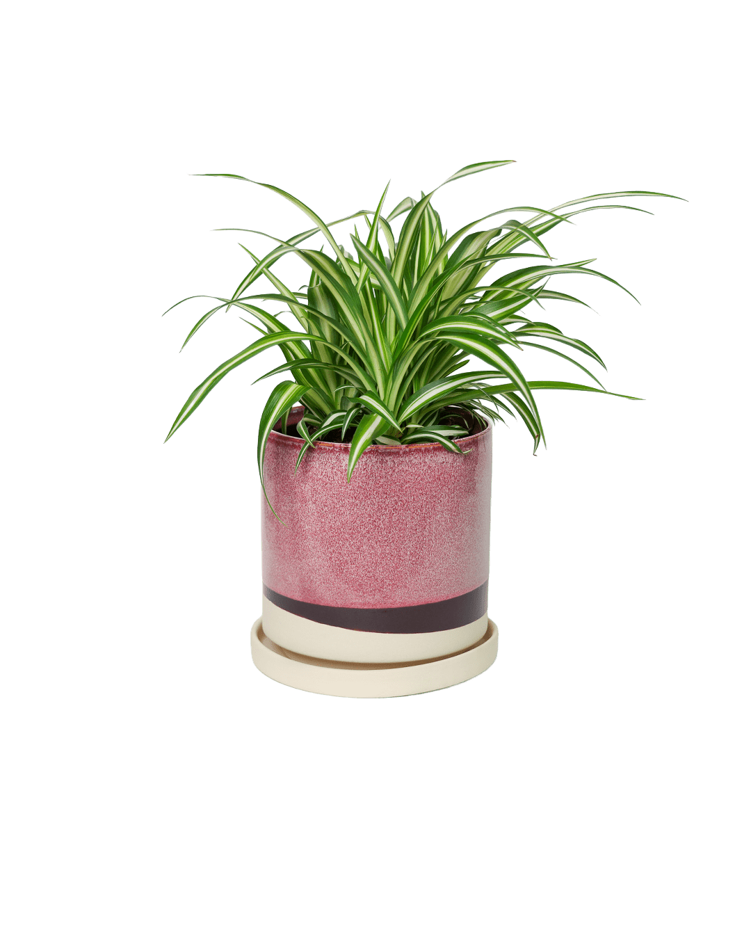 Minute Ceramic Pot And Saucer Set With Drainage | 6, 7, & 8 inch - Chive Ceramics Studio - Pots - Chive Ceramics Studio