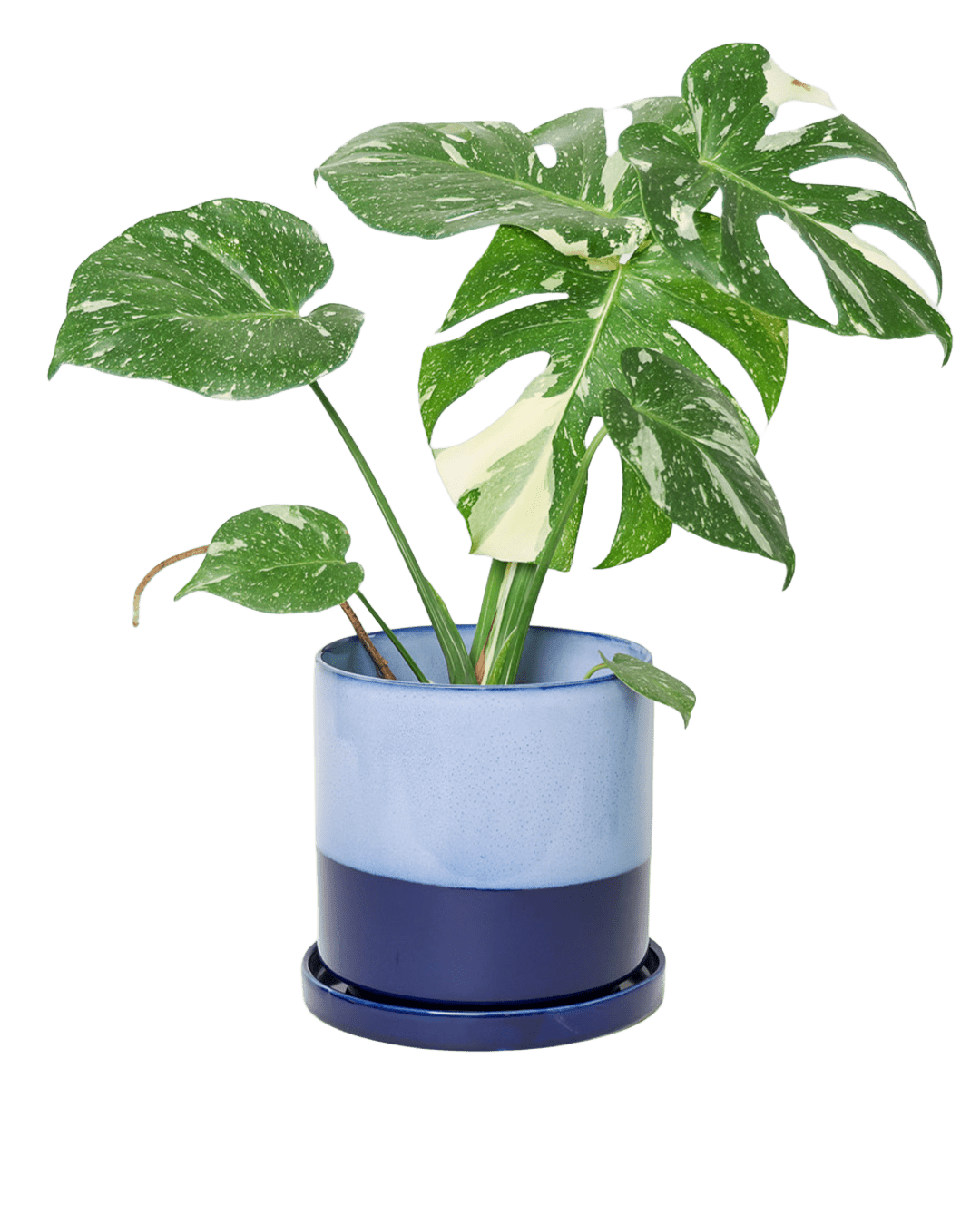 Minute Ceramic Pot And Saucer Set With Drainage | 6, 7, & 8 inch - Chive Ceramics Studio - Pots - Chive Ceramics Studio