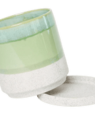 Large Minute Ceramic Pots & Saucer | 6", 7" & 8" Indoor Planter - Chive Ceramics Studio - Pots - Chive Ceramics Studio
