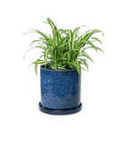 Minute Ceramic Pot And Saucer Set With Drainage | 6, 7, & 8 inch - Chive Ceramics Studio - Pots - Chive Ceramics Studio