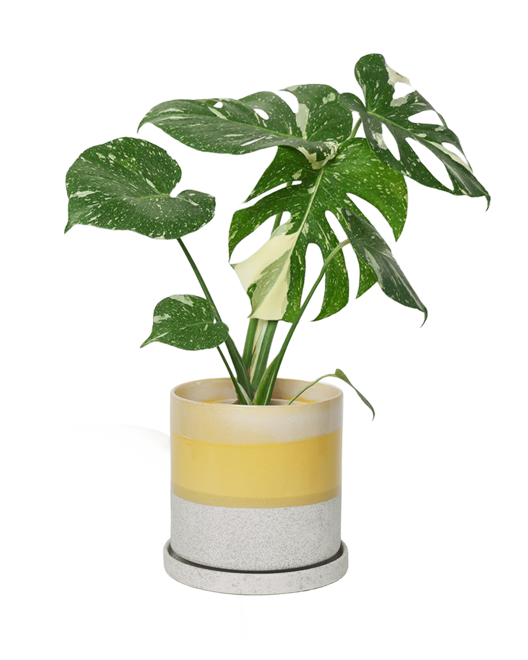 Minute Ceramic Pot And Saucer Set With Drainage | 6, 7, & 8 inch - Chive Ceramics Studio - Pots - Chive Ceramics Studio