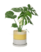 Minute Ceramic Pot And Saucer Set With Drainage | 6, 7, & 8 inch - Chive Ceramics Studio - Pots - Chive Ceramics Studio