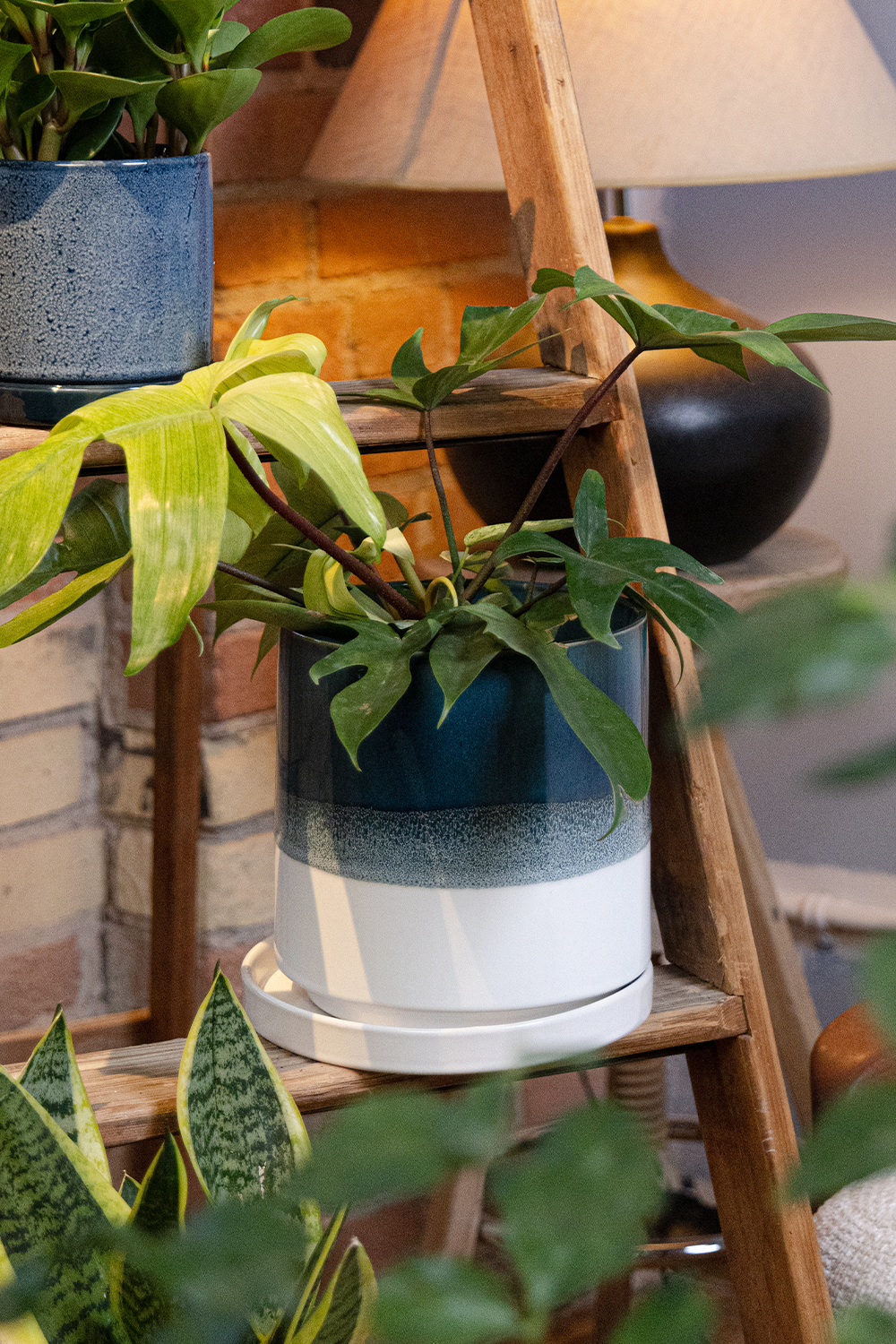 Large Minute Ceramic Pots & Saucer | 6", 7" & 8" Indoor Planter - Chive Ceramics Studio - Pots - Chive Ceramics Studio