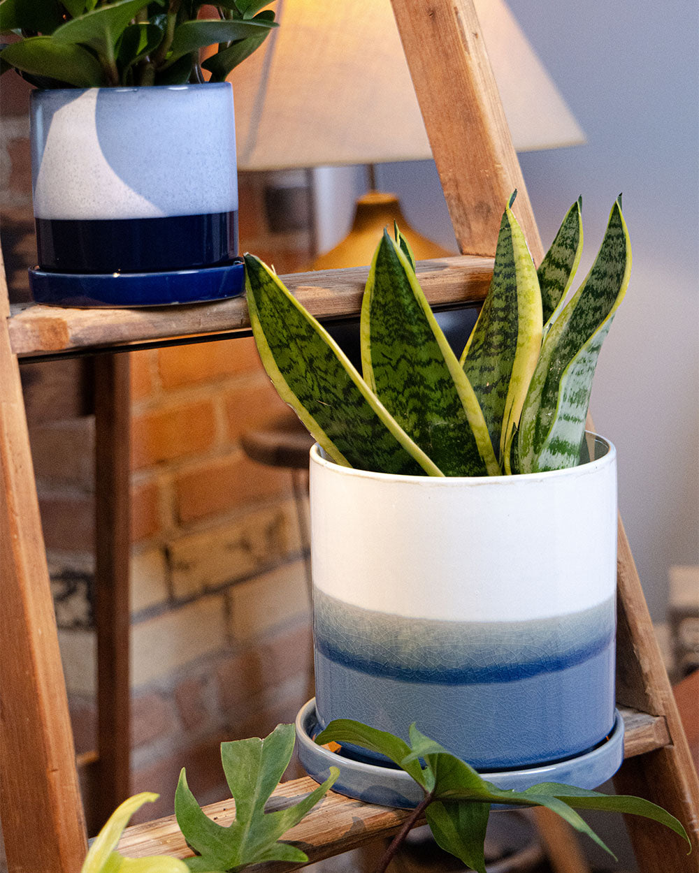 Large Minute Ceramic Pots & Saucer | 6", 7" & 8" Indoor Planter - Chive Ceramics Studio - Pots - Chive Ceramics Studio