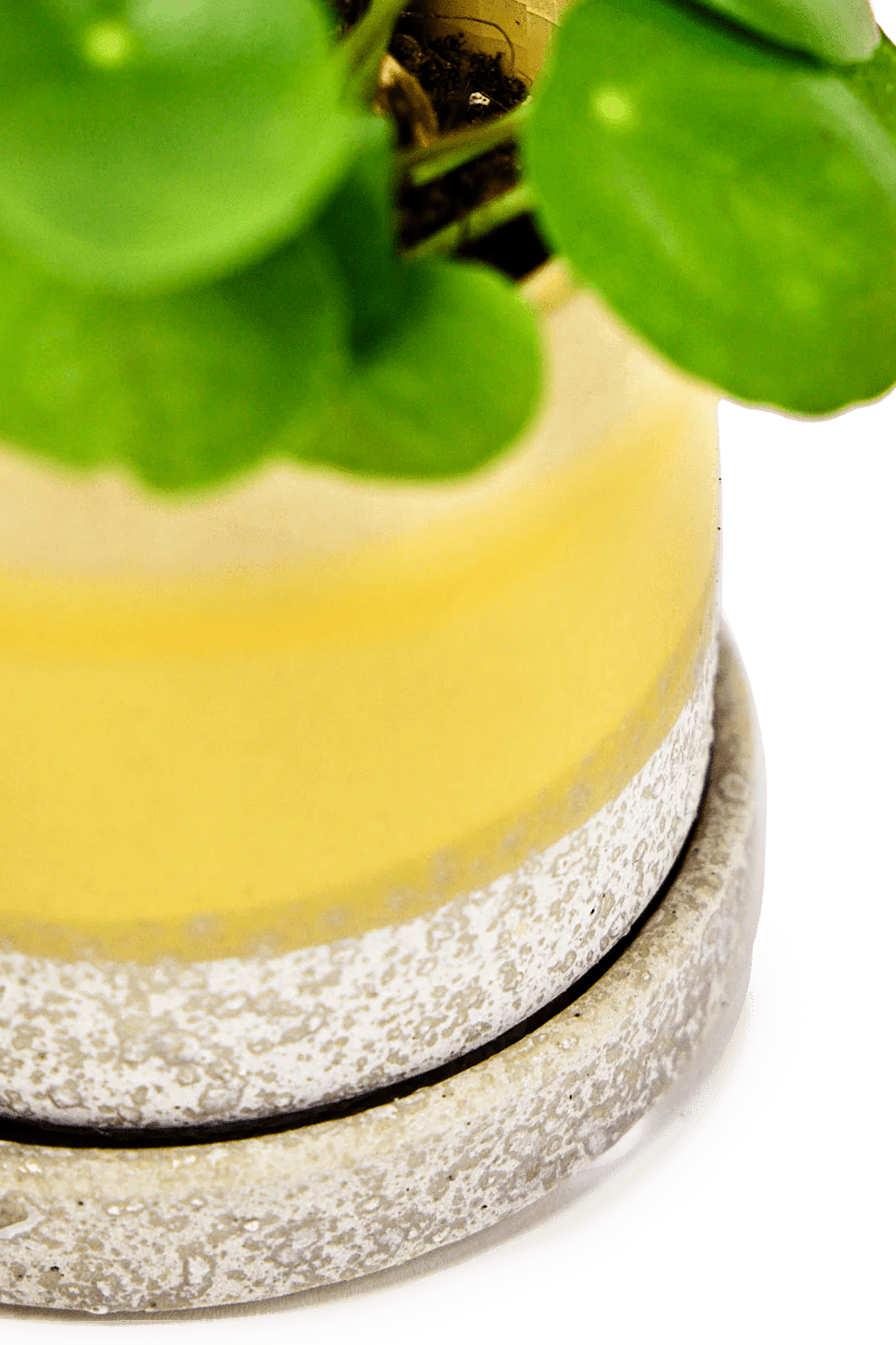 Large Minute Ceramic Pots & Saucer | 6", 7" & 8" Indoor Planter - Chive Ceramics Studio - Pots - Chive Ceramics Studio