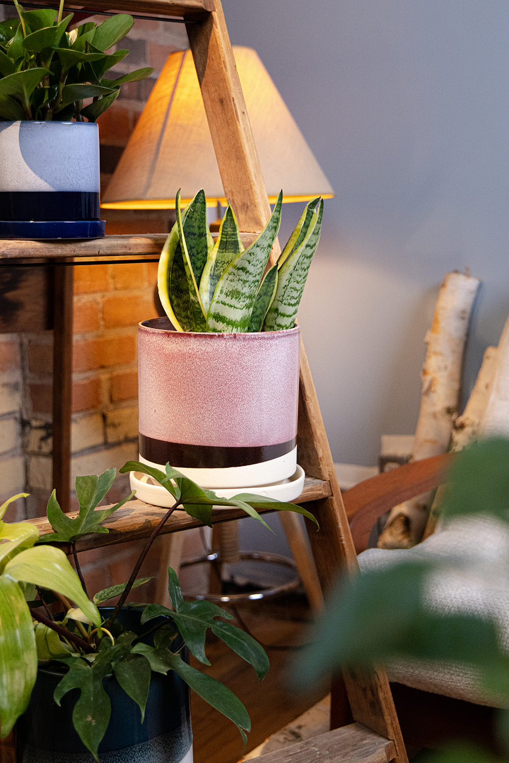 Large Minute Ceramic Pots & Saucer | 6", 7" & 8" Indoor Planter - Chive Ceramics Studio - Pots - Chive Ceramics Studio