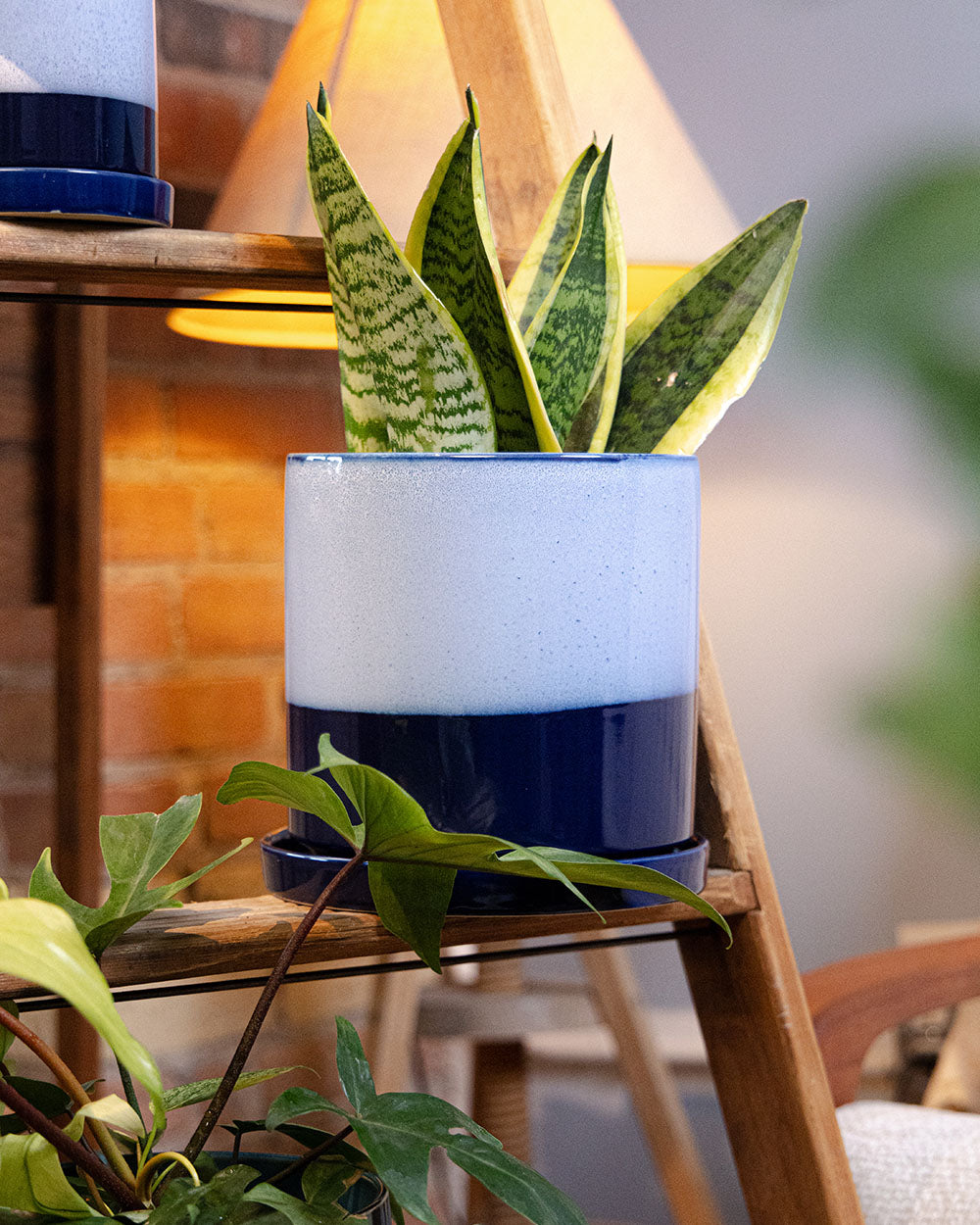 Large Minute Ceramic Pots & Saucer | 6", 7" & 8" Indoor Planter - Chive Ceramics Studio - Pots - Chive Ceramics Studio