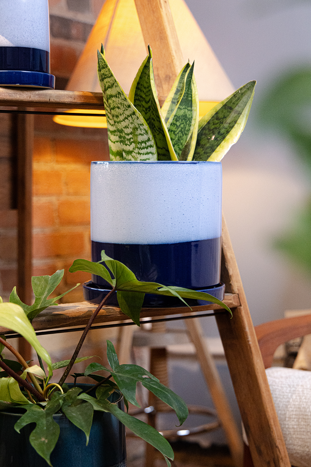 Large Minute Ceramic Pots & Saucer | 6", 7" & 8" Indoor Planter - Chive Ceramics Studio - Pots - Chive Ceramics Studio