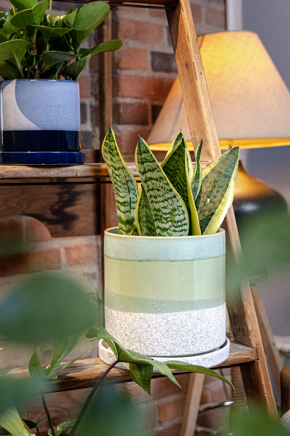 Large Minute Ceramic Pots & Saucer | 6", 7" & 8" Indoor Planter - Chive Ceramics Studio - Pots - Chive Ceramics Studio