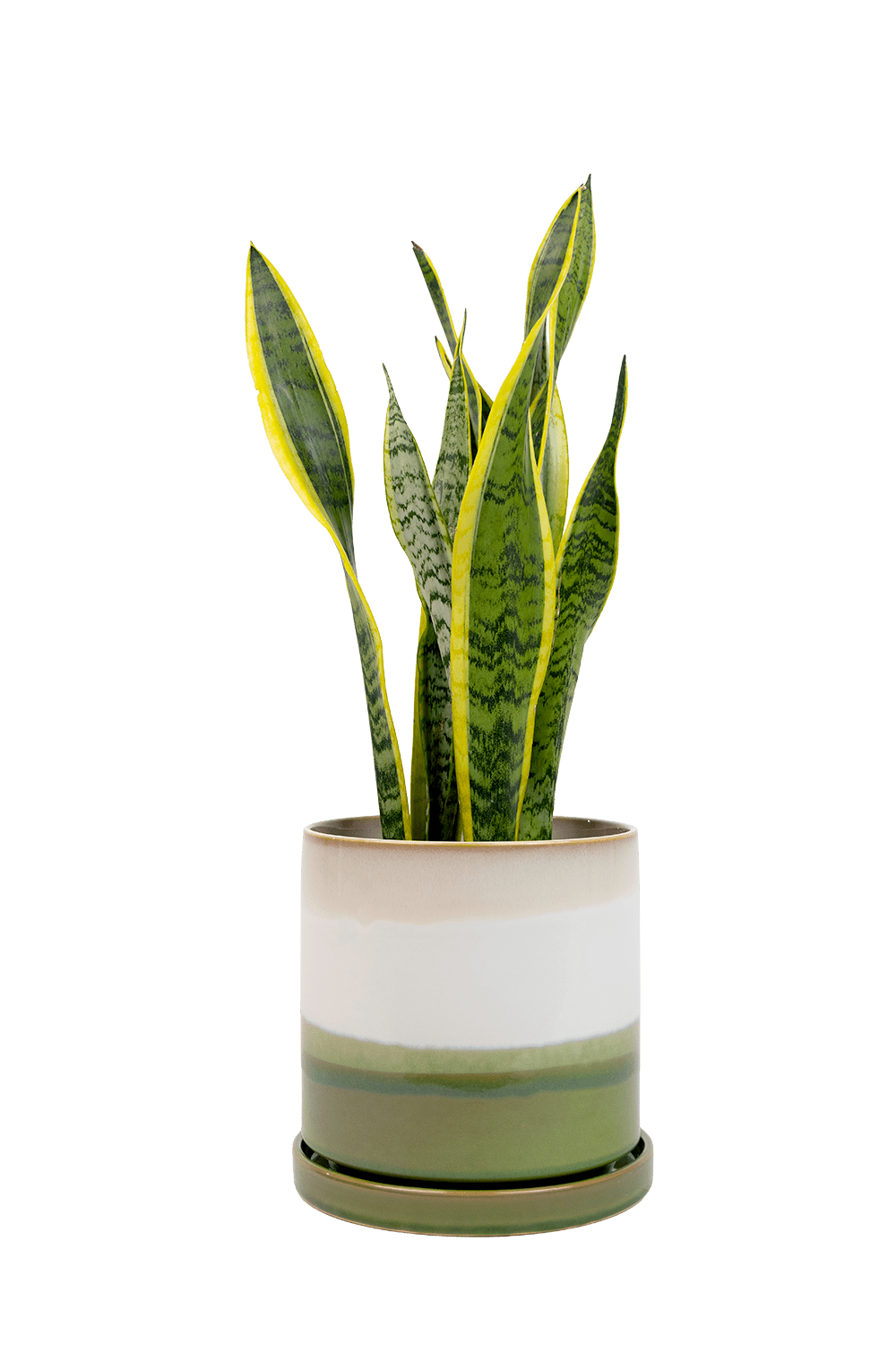 Large Minute Ceramic Pots & Saucer | 6", 7" & 8" Indoor Planter - Chive Ceramics Studio - Pots - Chive Ceramics Studio