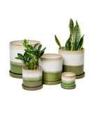 Large Minute Ceramic Pots & Saucer | 6", 7" & 8" Indoor Planter - Chive Ceramics Studio - Pots - Chive Ceramics Studio