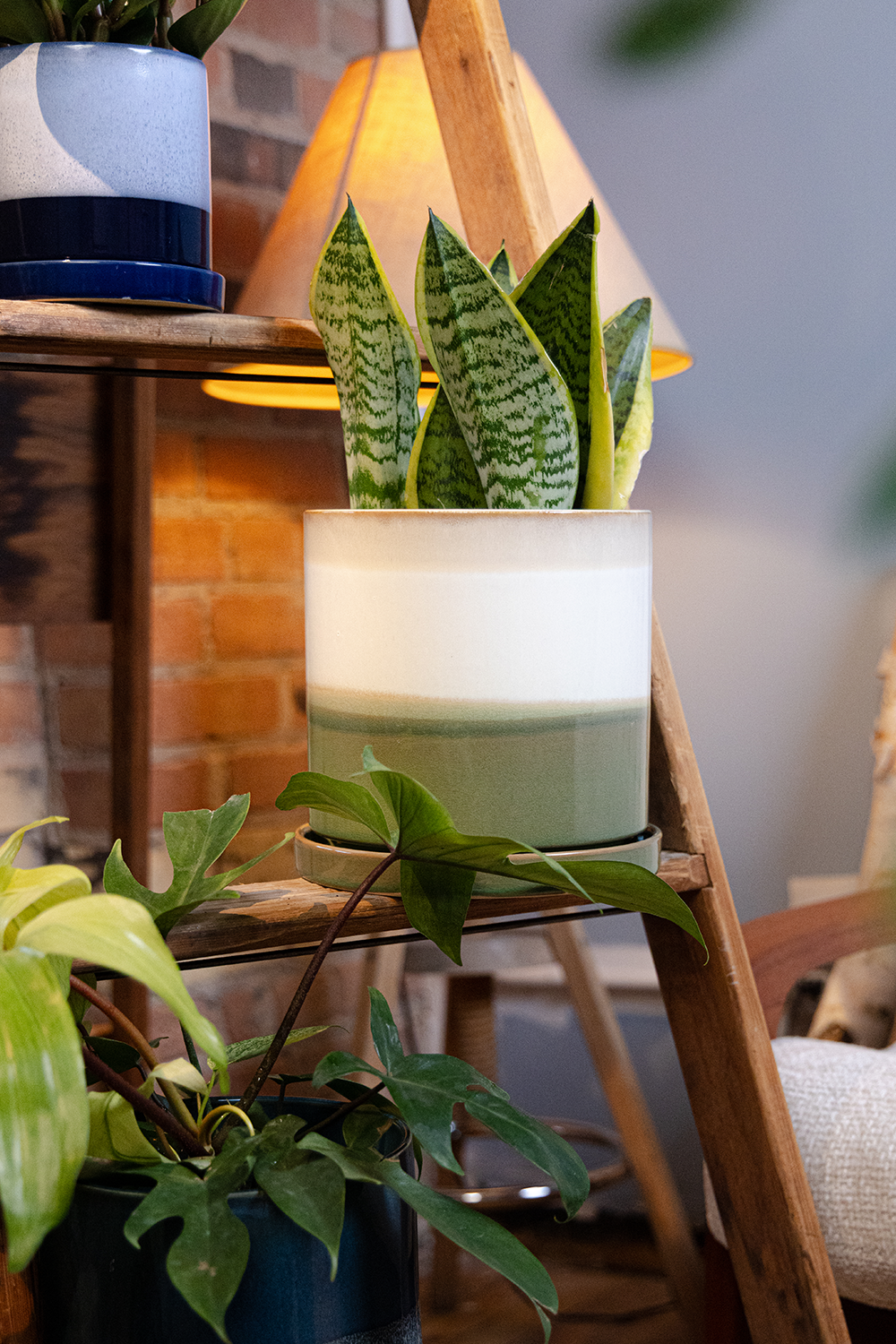 Large Minute Ceramic Pots & Saucer | 6", 7" & 8" Indoor Planter - Chive Ceramics Studio - Pots - Chive Ceramics Studio