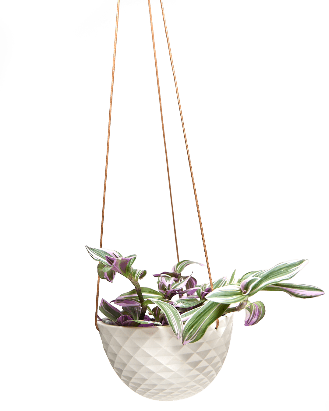 Mini Mofo Porcelain Modern Hanging Planter - Chive Ceramics Studio - Pots - Chive Ceramics Studio