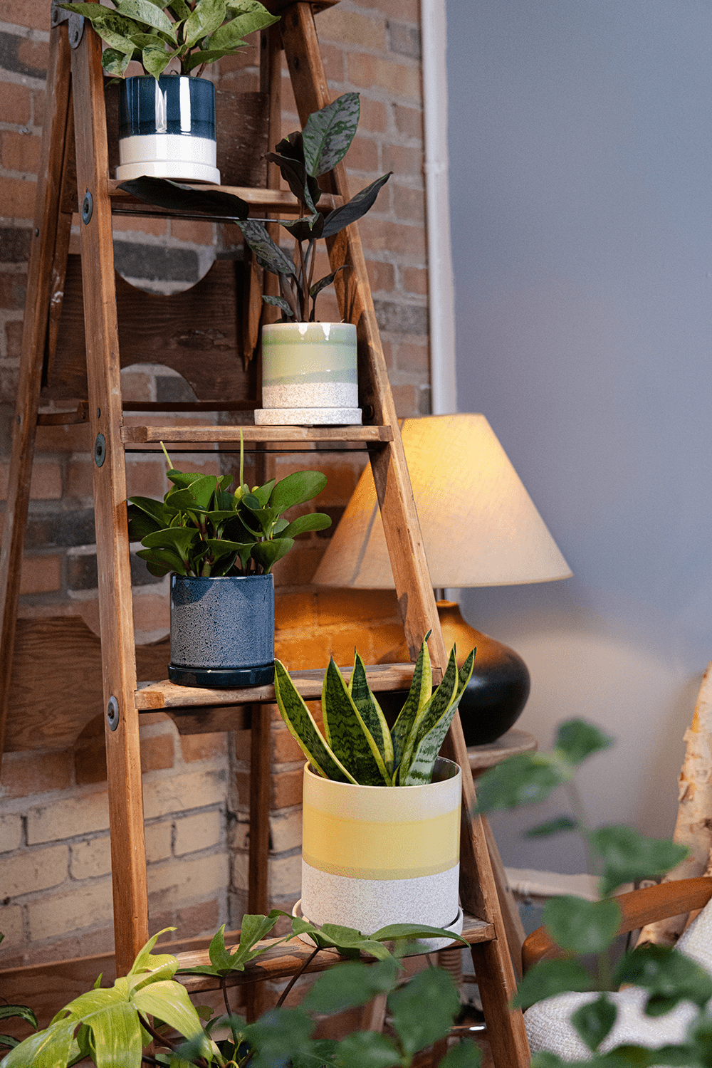 Large Minute Ceramic Pots & Saucer | 6", 7" & 8" Indoor Planter - Chive Ceramics Studio - Pots - Chive Ceramics Studio