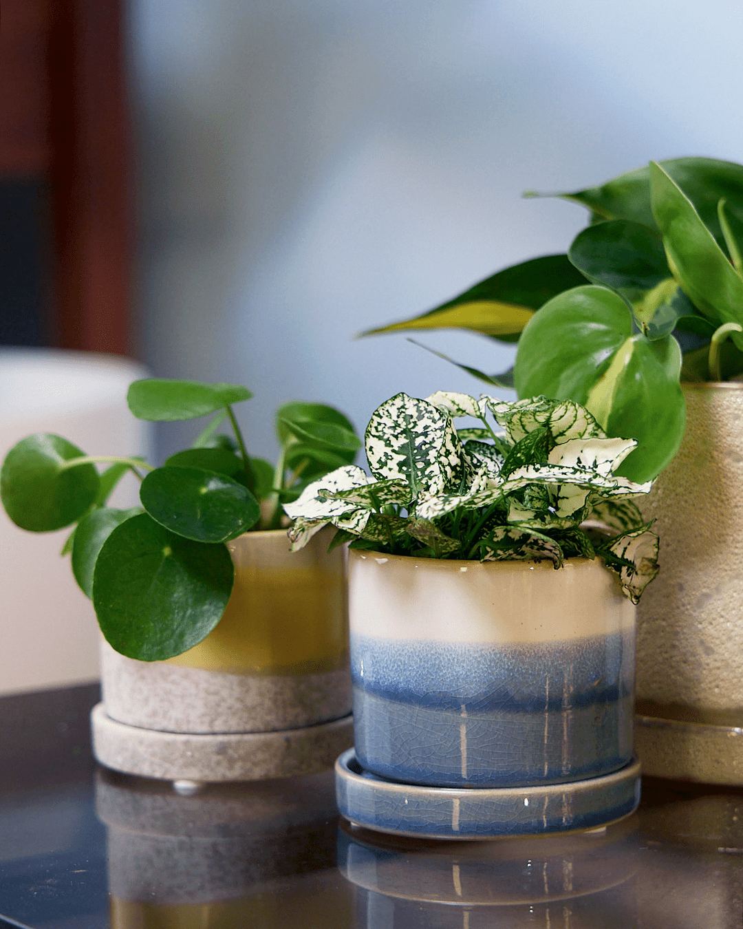 Minute Ceramic Pot And Saucer Set With Drainage - Chive Ceramics Studio - Pots - Chive Ceramics Studio