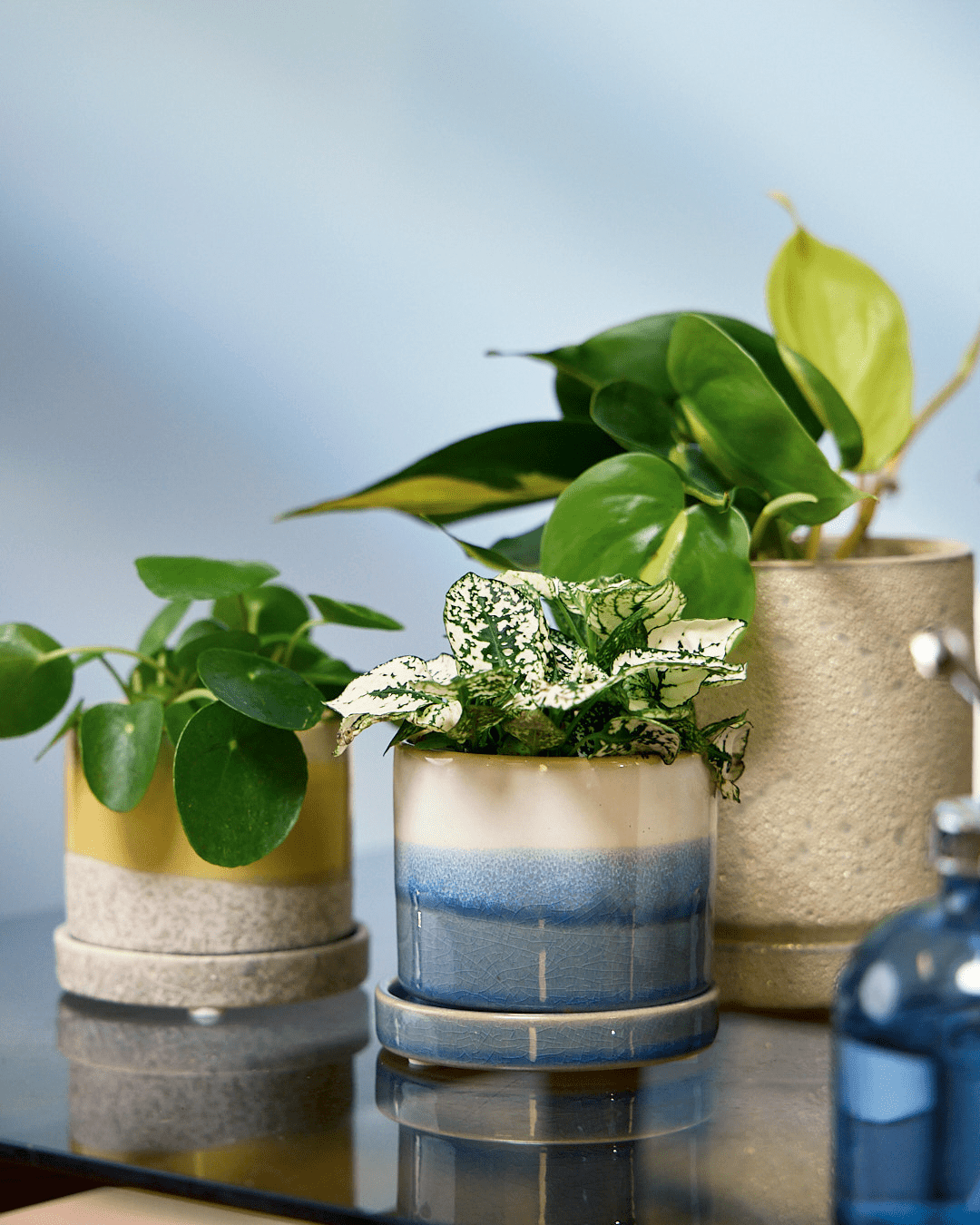 Minute Ceramic Pot And Saucer Set With Drainage - Chive Ceramics Studio - Pots - Chive Ceramics Studio