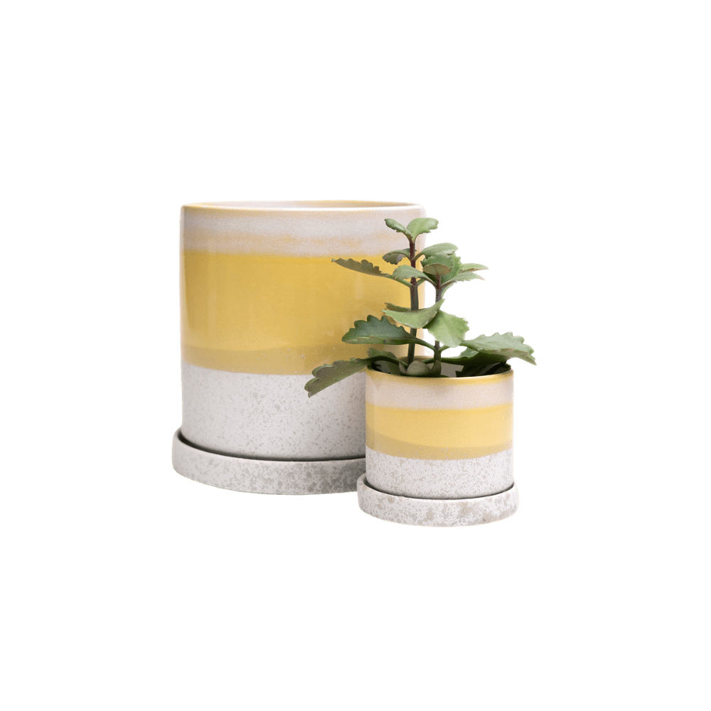 Minute Ceramic Pot And Saucer Set With Drainage | 3 & 5 inches - Chive Ceramics Studio - Pots - Chive Ceramics Studio