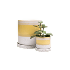 Minute Ceramic Pot And Saucer Set With Drainage | 3 & 5 inches - Chive Ceramics Studio - Pots - Chive Ceramics Studio