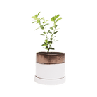 Minute Ceramic Pot And Saucer Set With Drainage | 3 inch - Chive Ceramics Studio - Pots - Chive Ceramics Studio