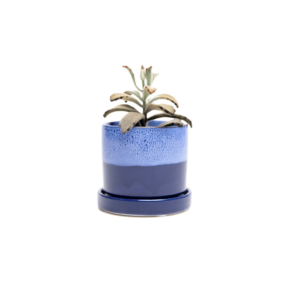 Minute Ceramic Pot And Saucer Set With Drainage | 3 inch - Chive Ceramics Studio - Pots - Chive Ceramics Studio