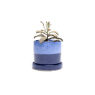 Minute Ceramic Pot And Saucer Set With Drainage | 3 inch - Chive Ceramics Studio - Pots - Chive Ceramics Studio