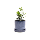 Minute Ceramic Pot And Saucer Set With Drainage | 3 inch - Chive Ceramics Studio - Pots - Chive Ceramics Studio