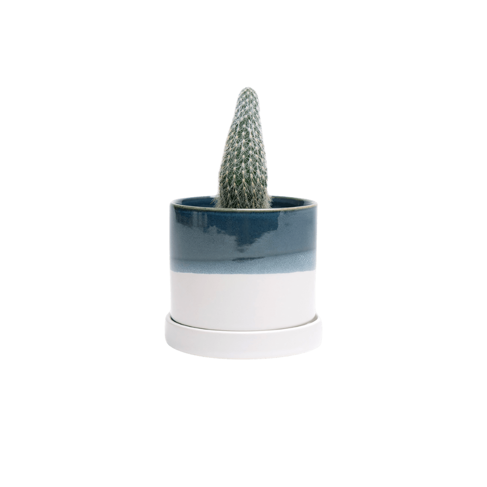 Minute Ceramic Pot And Saucer Set With Drainage | 3 & 5 inches - Chive Ceramics Studio - Pots - Chive Ceramics Studio