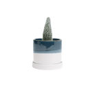 Minute Ceramic Pot And Saucer Set With Drainage | 3 & 5 inches - Chive Ceramics Studio - Pots - Chive Ceramics Studio