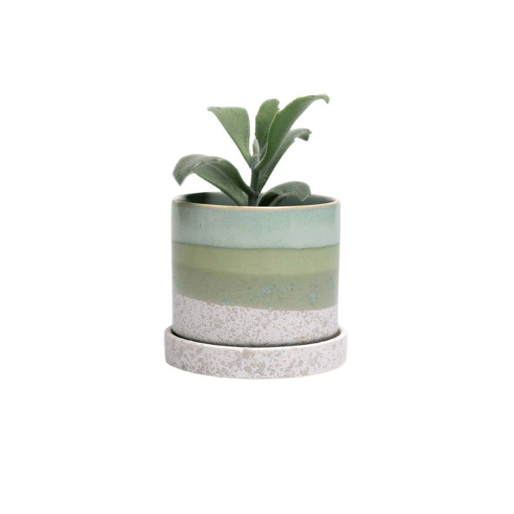 Minute Ceramic Pot And Saucer Set With Drainage | 3 inch - Chive Ceramics Studio - Pots - Chive Ceramics Studio
