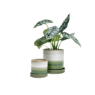 Minute Ceramic Pot And Saucer Set With Drainage | 3 & 5 inches - Chive Ceramics Studio - Pots - Chive Ceramics Studio