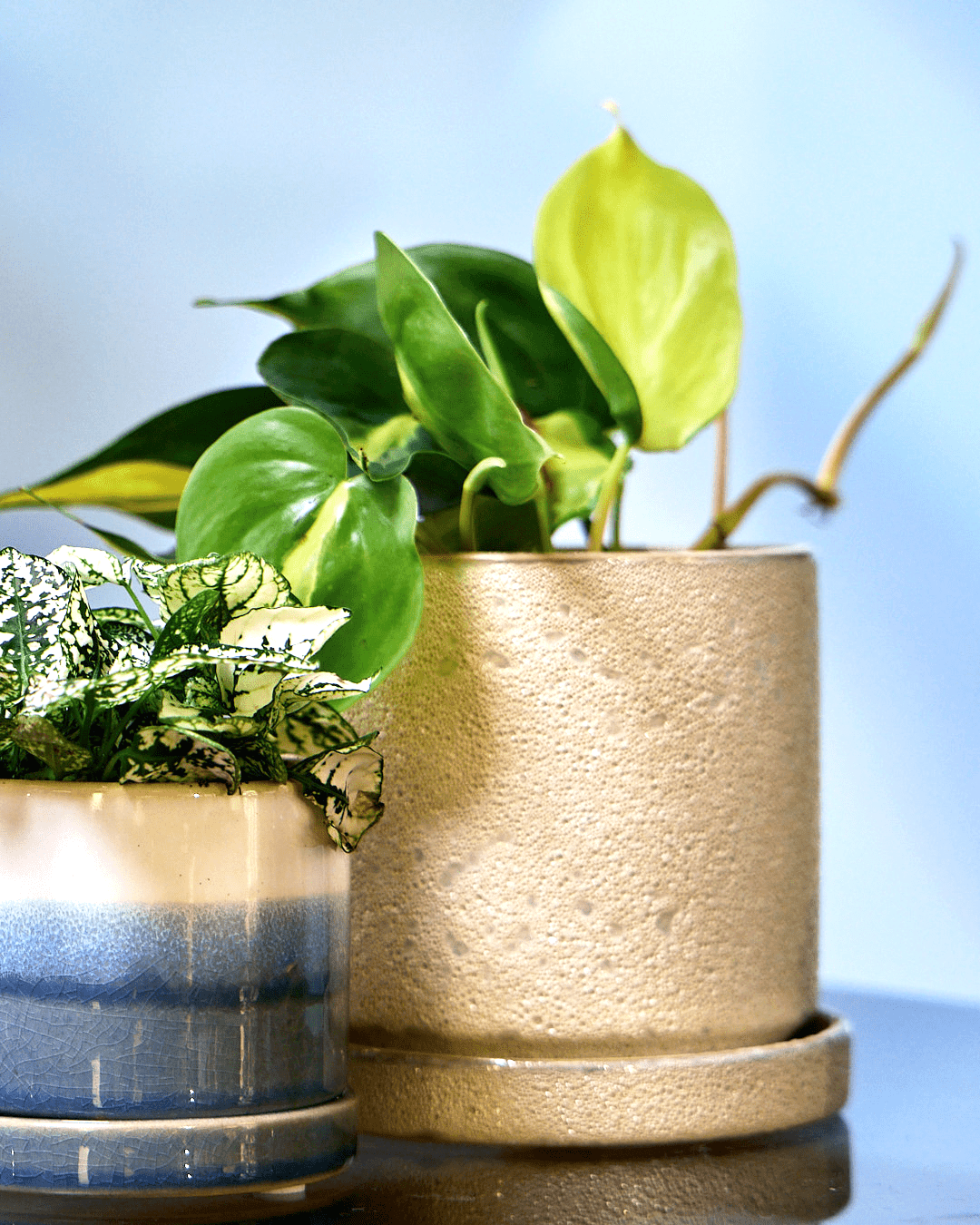 Minute Ceramic Pot And Saucer Set With Drainage - Chive Ceramics Studio - Pots - Chive Ceramics Studio