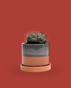 Minute Ceramic 3" Pot And Saucer Set - Chive Ceramics Studio - Pots - Chive Ceramics Studio